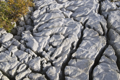 Lapiaz - détail - Parmelan (vue aérienne)
